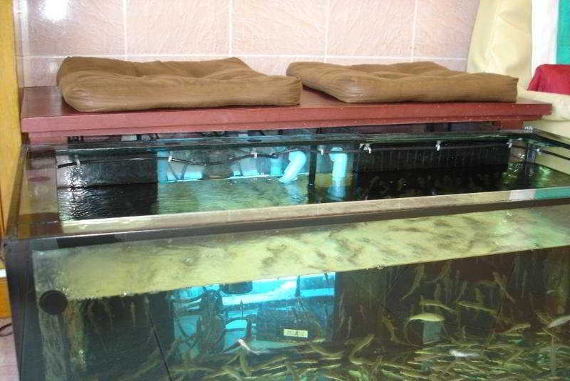 Hostel Lamai Patong
